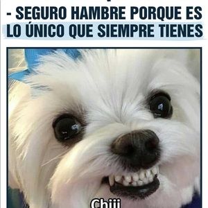 Meet your Posher, Edith